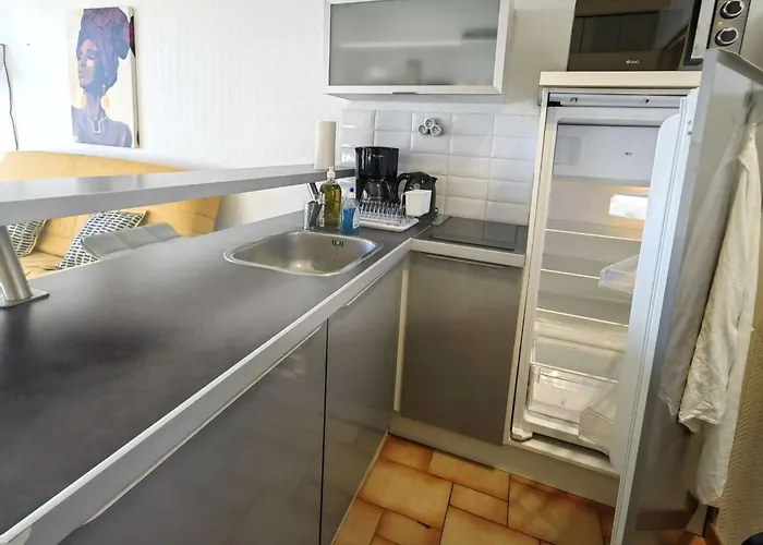 Climatisé Avec Piscine Et Parking à 20m De La - Fr-1-607-75 Agde